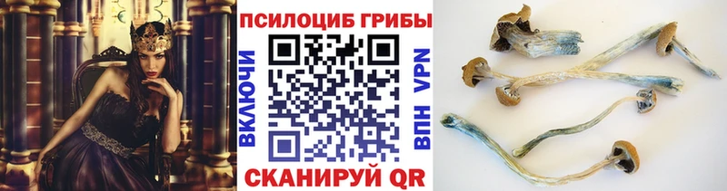 Купить закладки  Выкса  Галлюциногенные грибы ЛСД 