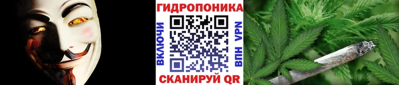 Купить закладки  Выкса  Каннабис White Widow 
